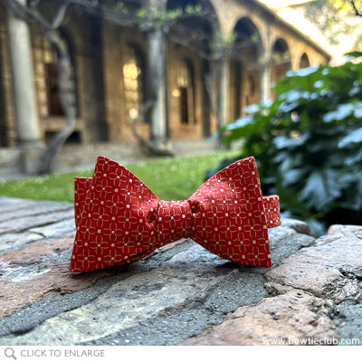 Cosmos Bow Tie