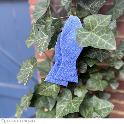 Lobelia carolina blue woven bow tie on ivy
