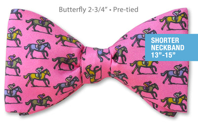 Trifecta B 2-3/4" Pre-tied 13"-15"