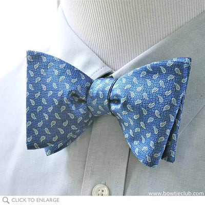 Blue Floret bow tie on shirt