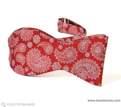 red silk paisley bow tie self tie