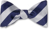 Acton Bow Tie