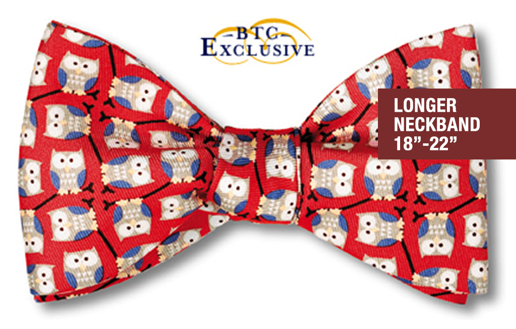 Bubo Butterfly 2-3/4" Self-tie Large