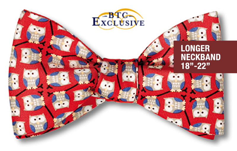 Bubo Butterfly 2-3/4" Self-tie Large