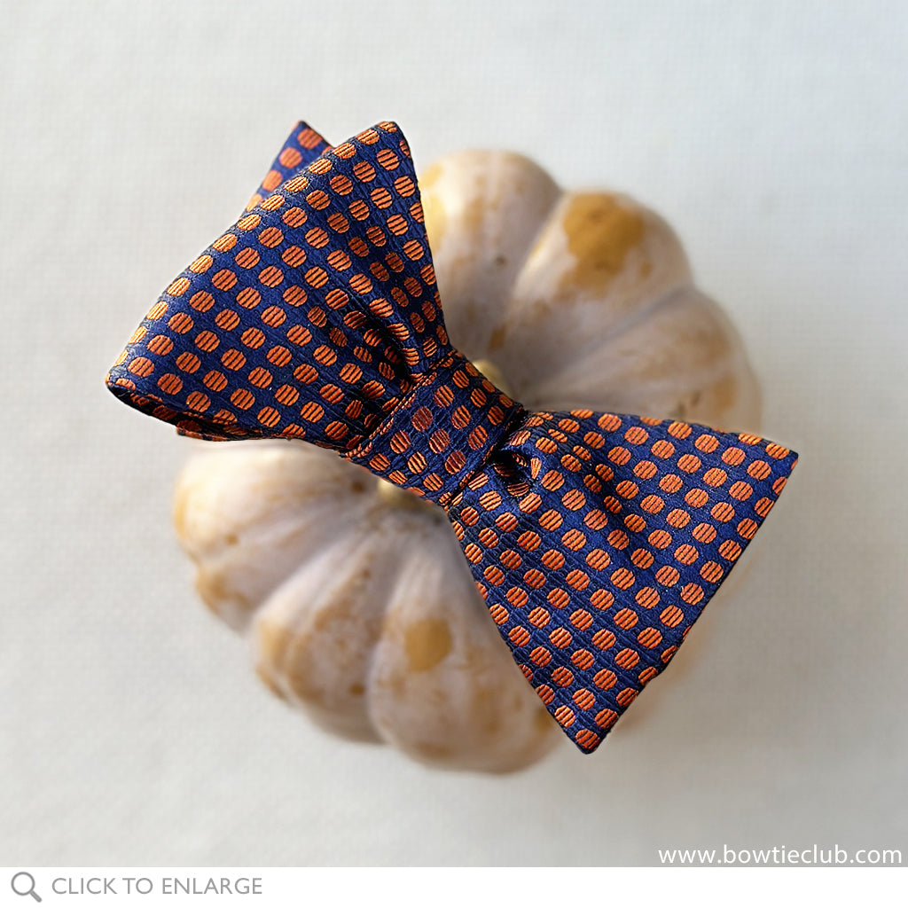 copper dot bow tie on pumpkin