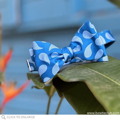 Curacao Bow Tie