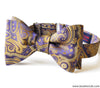 Lafayette Bow Tie