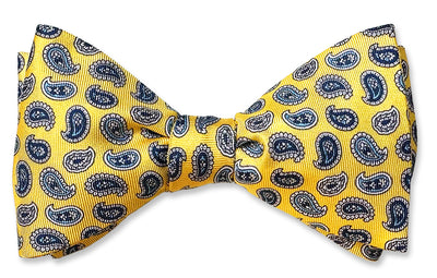 Michelangelo Bow Tie