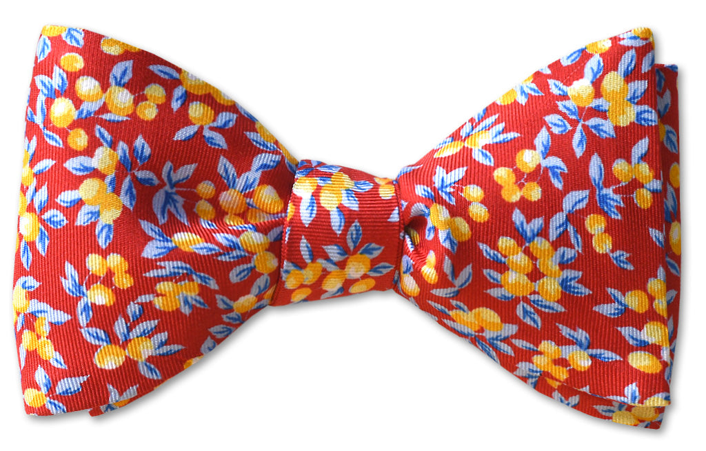 Summer Orchard Red Bow Tie