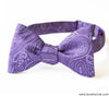 Viola Bow Tie