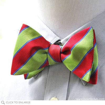 Bolton Repp Silk Woven bow tie on shirt