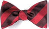 bow ties american made red brown stripes