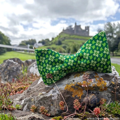 Cashel literally stands for circular stone fort translated from Irish Gaelic language.