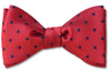 Valentine's Day Red Hearts Bow Tie Called Davina