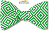 Geometric Green Bow Tie