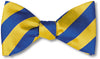 Exeter Bow Tie