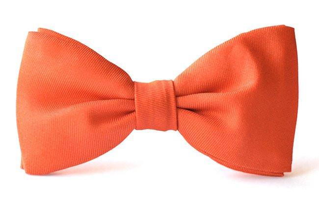 Bow Ties Kids Boys Coral Silk Clip-on