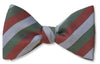 Lincoln Bow Tie