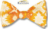 bow ties designer american made yellow starburst silk