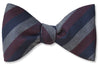 Salisbury Bow Tie