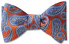 Vivaldi Bow Tie