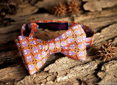 Woodsy Bow Tie Owl Silk American Made